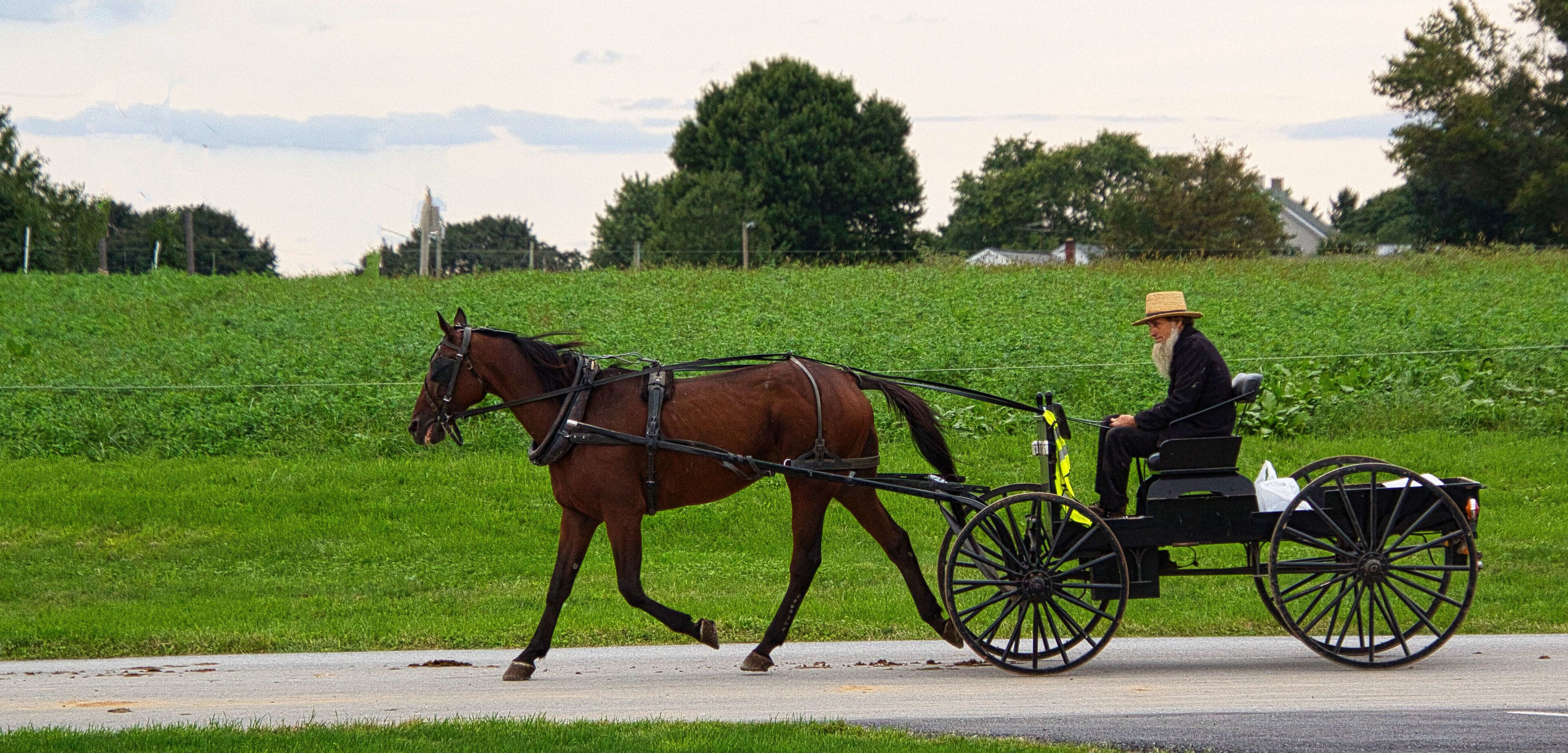 Amish Country