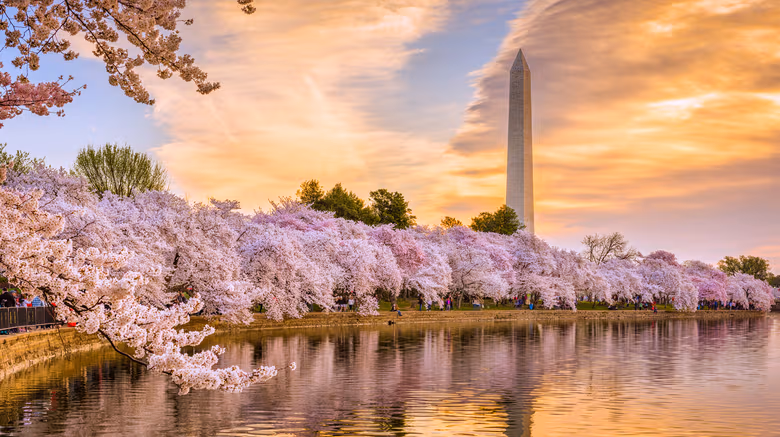 Three-day Washington D.C. field trip
