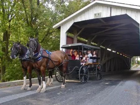 Horse and buggy ride through Amish farmland