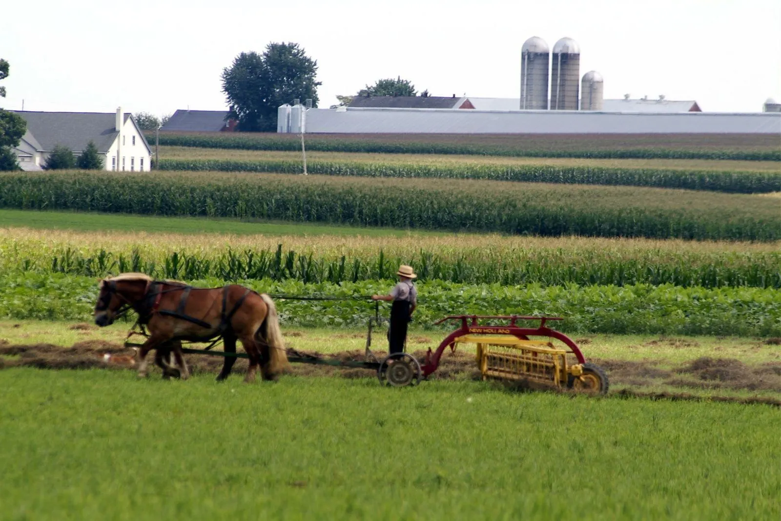 Amish farmlands tour, Lancaster County